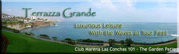 /Images/website/CMLC101/images/CMLC101banner.jpg
