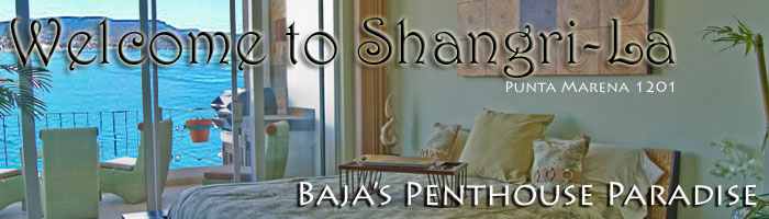 /Images/website/CMPM1201/images/CMPM1201banner.jpg